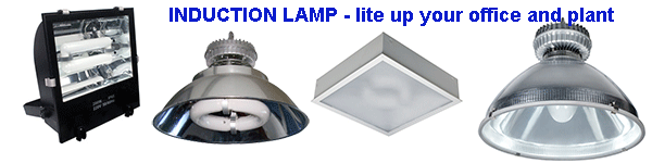 Induction Lamp